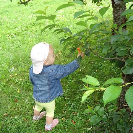 Πανσιόν Josefinenhof Neustift im Stubaital