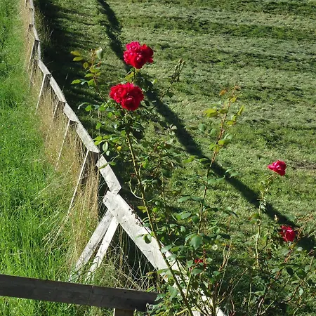 Guest house Josefinenhof 3*