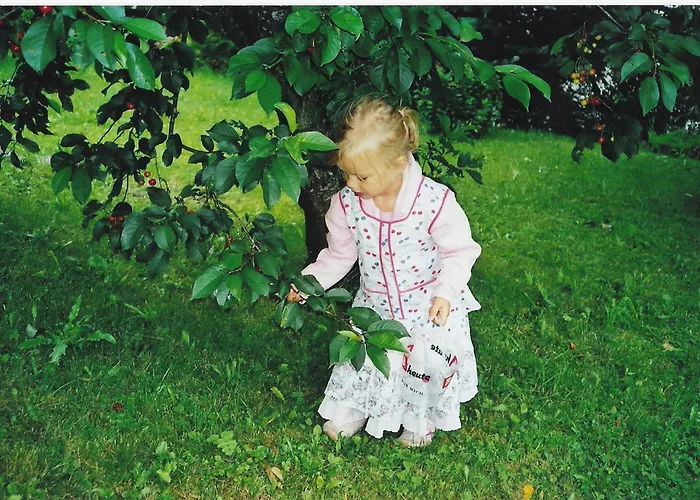 ゲストハウス Josefinenhof ノイシュティフト・イム・シュトゥーバイタール