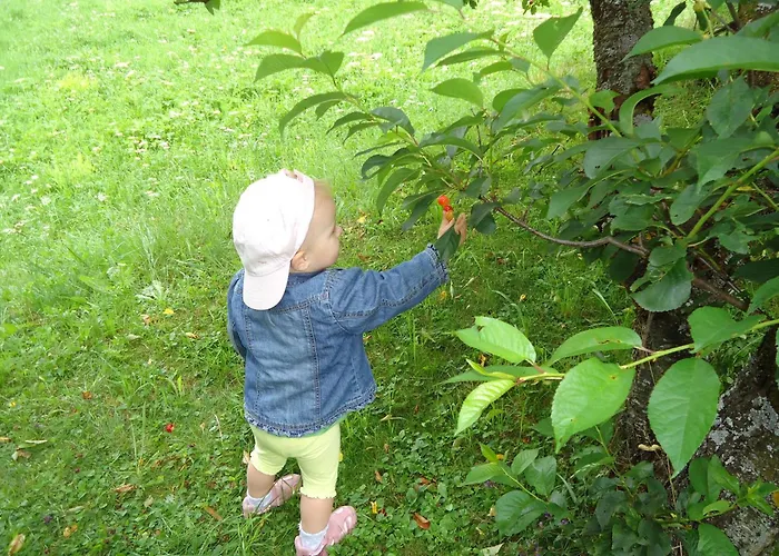 ゲストハウス Josefinenhof ノイシュティフト・イム・シュトゥーバイタール
