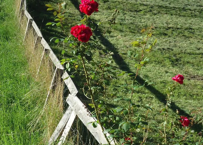 ゲストハウス Josefinenhof 3*