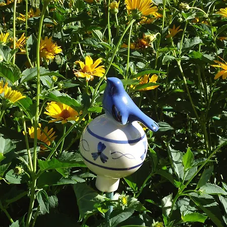 بيت ضيافة Josefinenhof 3*